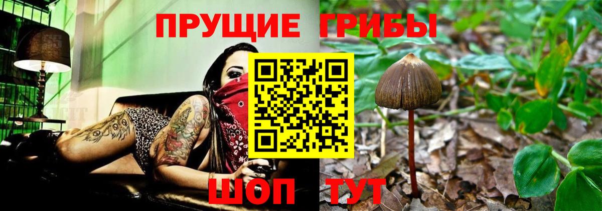 Галлюциногенные грибы мицелий  Вход с VPN  Киселёвск 